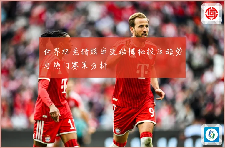 世界杯竞猜赔率变动揭秘投注趋势与热门赛果分析