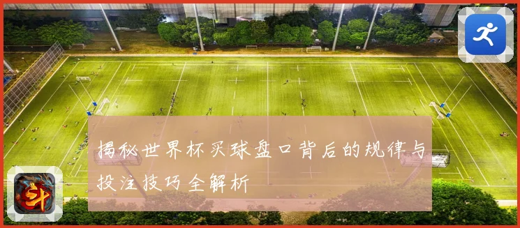 揭秘世界杯买球盘口背后的规律与投注技巧全解析