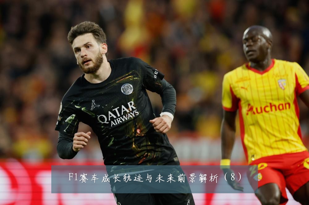 F1赛车成长轨迹与未来前景解析（8）