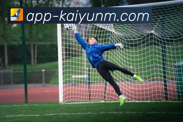 支持哪些设备访问系统？